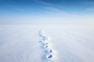 Line of human footprints stretches across pristine snowy landscape under clear blue sky. Untouched snow field and footprints evoke sense of peace and adventure. Beautiful winter background
