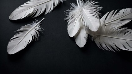 Black paper adorned with white feathers, offering space for text or design.