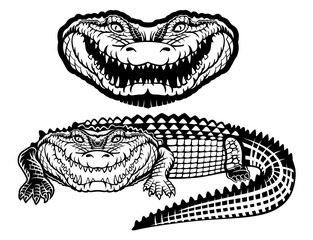 Crocodile head and all aligator icon on white background