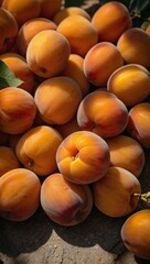 Ripe apricots in sunlight, showcasing their vibrant orange hue, with space for text or design.