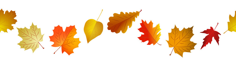 Autumn red and yellow leaves border seamless. Vector illustration