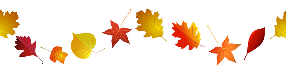 Autumn red and yellow bright leaves border seamless. Vector illustration