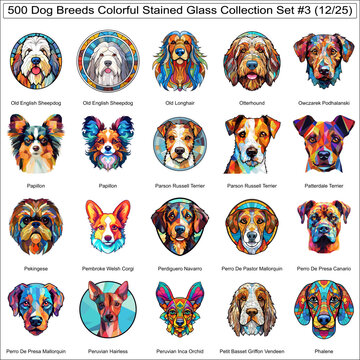 Colorful Dog Breeds Stained Glass Cute Dogs Bundle Collection Set 3 of 500 Dog Faces Isolated Part 12