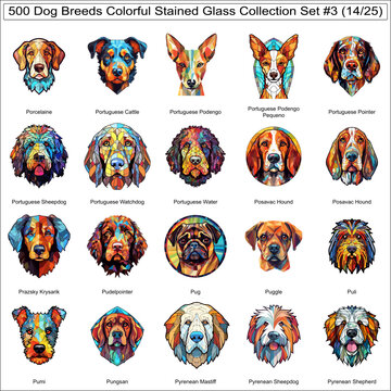 Colorful Dog Breeds Stained Glass Cute Dogs Bundle Collection Set 3 of 500 Dog Faces Isolated Part 14