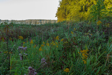 Obraz premium Early morning overlooking Pike Lake as the shoreline marsh remains in the shadows for a few minutes longer within Pike Lake Unit, Kettle Moraine State Forest, Hartford, Wisconsin