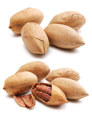 Peeled pecan nuts closeup, isolated on white background