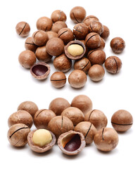 Shelled and unshelled macadamia nuts on white background