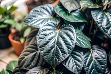 Obraz premium A background filled with dark green leaf plants, with copy space for fresh wallpaper concept, environment ecology or greenery wallpaper