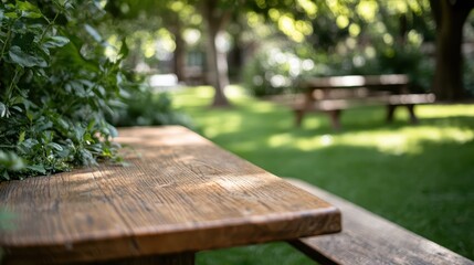 A wooden picnic table in a green park, surrounded by lush vegetation and trees, creating a peaceful and inviting spot for relaxation and outdoor activities.