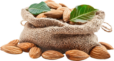 Obraz premium Almonds in a burlap sack