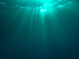 Obraz premium underwater, foam, reflection, bubble, bubbles, sea, undersea, background, rise, crystal sea, bubbles underwater, water, blue, transparency, depth, blue tint, light beam, light spots, tranquility.