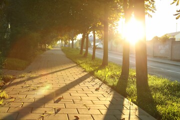 Beautiful view of city with trees and paved pathway in morning