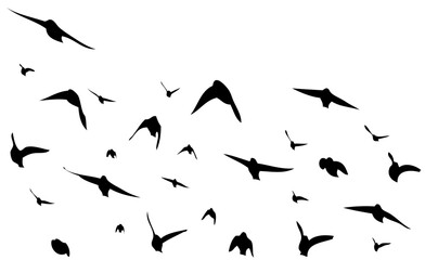 Flying birds silhouette flock. hand drawing. Not AI. Vector illustration.