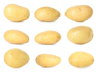 Many whole potatoes isolated on white, set