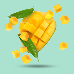 Sweet fresh mango cut in cubes falling on turquoise background