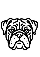 Dog Breed SVG, Dog Types SVG, Pet SVG, Canine SVG, Spaniel SVG, Boston Terrier SVG, Boxer Dog SVG, Cane Corso SVG, Chihuahua SVG, Pekingese SVG, Border Collie SVG, Dog Silhouette, Cut file for Cricut 
