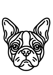 Dog Breed SVG, Dog Types SVG, Pet SVG, Canine SVG, Spaniel SVG, Boston Terrier SVG, Boxer Dog SVG, Cane Corso SVG, Chihuahua SVG, Pekingese SVG, Border Collie SVG, Dog Silhouette, Cut file for Cricut 