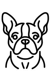 Dog Breed SVG, Dog Types SVG, Pet SVG, Canine SVG, Spaniel SVG, Boston Terrier SVG, Boxer Dog SVG, Cane Corso SVG, Chihuahua SVG, Pekingese SVG, Border Collie SVG, Dog Silhouette, Cut file for Cricut 