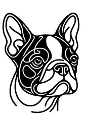 Dog Breed SVG, Dog Types SVG, Pet SVG, Canine SVG, Spaniel SVG, Boston Terrier SVG, Boxer Dog SVG, Cane Corso SVG, Chihuahua SVG, Pekingese SVG, Border Collie SVG, Dog Silhouette, Cut file for Cricut 