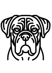 Dog Breed SVG, Dog Types SVG, Pet SVG, Canine SVG, Spaniel SVG, Boston Terrier SVG, Boxer Dog SVG, Cane Corso SVG, Chihuahua SVG, Pekingese SVG, Border Collie SVG, Dog Silhouette, Cut file for Cricut 