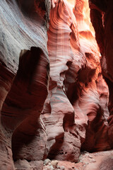 Explore the breathtaking curves and vibrant colors of Buckskin Gulch Slot Canyon on the Arizona, Utah border. This natural wonder showcases unique geological formations and erosion - USA