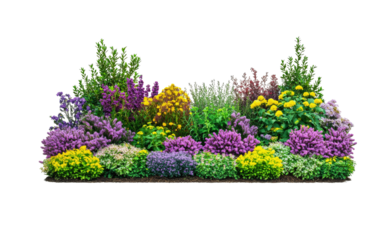 Vibrant flower garden with a variety of colorful blooms and lush greenery on a clear background perfect for various design purposes