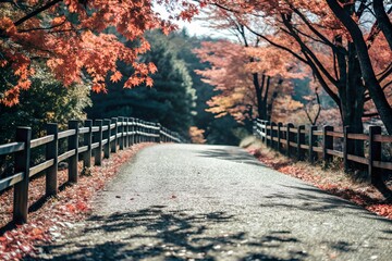 Autumn Path with Space to the Right