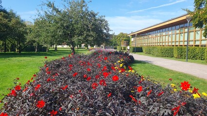 Fototapete bei efototapeten.de bestellen   