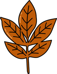  Autumn Leaf Illustration