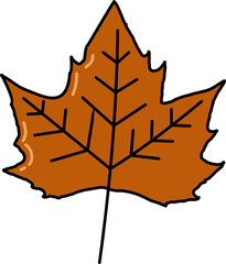 Autumn Leaf Illustration