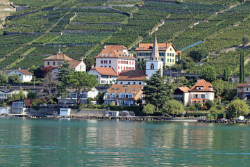 Lakeside hamlet in Switzerland with vineyard