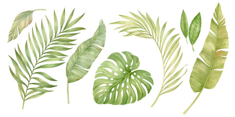 Tropical leaves set isolated watercolor illustration.
