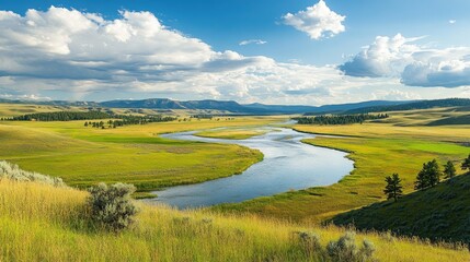 A panoramic view of the Yellowstone River as it flows through Hayden Valley, surrounded by lush meadows and distant mountains.