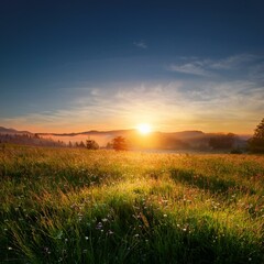 Image of Sunrise over a peaceful meadow, symbolizing the tranquility of new life beginnings beauty in nature printed on Printed Glass Splashbacks