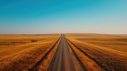 Fototapeta premium A rural Russian road stretching into the horizon through endless fields.