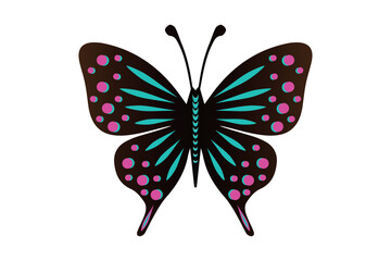 Butterfly Illustration simple vector Art style