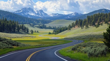 Fototapeta premium A scenic drive through Yellowstone, with the road winding through lush meadows and towering mountains.