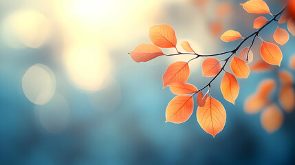 A serene image of autumn leaves against a soft, blurred background.