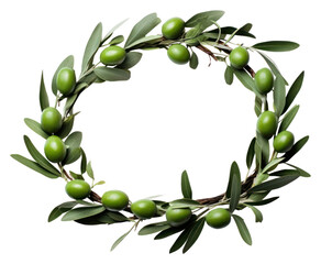 PNG Olive wreath plant food.