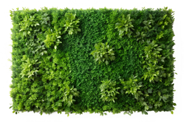 Green plant wall panno, cut out isolated on transparent background