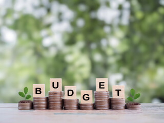 Wooden blocks with the word BUDGET and plants growing up on stack of coins. The concept about...