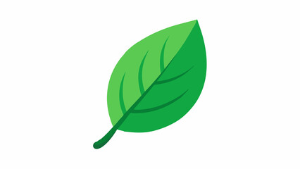 Simple green leaf illustration on white background, eco-friendly design