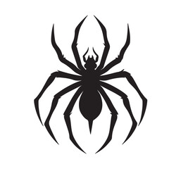 Black spider silhouette, close-up spider, scary big spider isolated on white background 