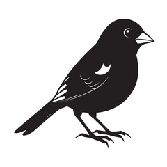 Obraz premium Junco Bird Silhouette Vector on White Background