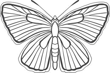 Butterfly hand-drawn line art
