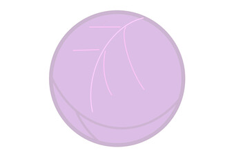 紫キャベツのシンプル円イラスト