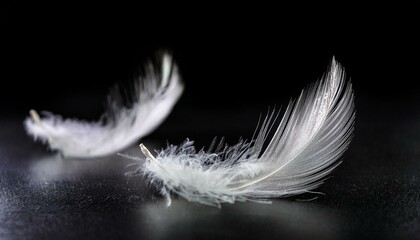 Obraz premium White Feathers isolated against a black background. Floating feathers. Falling bird feathers. Bokeh. Motion blur. Bird, angel or demon feathers. Fantasy glowing feathers floating down. See Less 