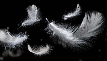 Obraz premium White Feathers isolated against a black background. Floating feathers. Falling bird feathers. Bokeh. Motion blur. Bird, angel or demon feathers. Fantasy glowing feathers floating down. See Less 