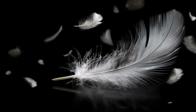 White Feathers isolated against a black background. Floating feathers. Falling bird feathers. Bokeh. Motion blur. Bird, angel or demon feathers. Fantasy glowing feathers floating down. See Less
