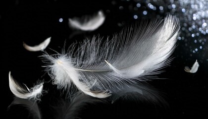Obraz premium White Feathers isolated against a black background. Floating feathers. Falling bird feathers. Bokeh. Motion blur. Bird, angel or demon feathers. Fantasy glowing feathers floating down. See Less 